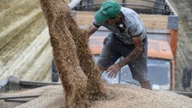 Казахстан хочет ввести полный запрет на реэкспорт российской пшеницы